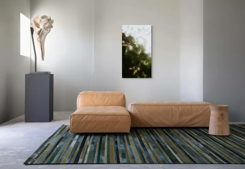 Tablou Canvas, "Brăduț în lumina dimineții", Copac, Crengi, Ace, Verde, Natură, Lumină, Blândă, Frunză, Moale, Pădure, 50 x 90 cm – poza 5