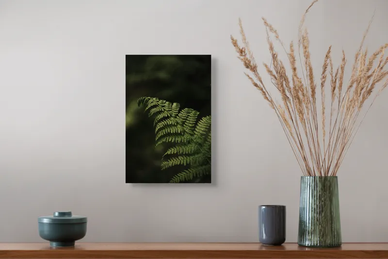 Tablou Canvas, "Frunză de ferigă în umbră pădurii", Frunză, Verde, Natură, Contrast, Umbră, Detaliu, Textură, Lumină, 26 x 39 cm – poza 5