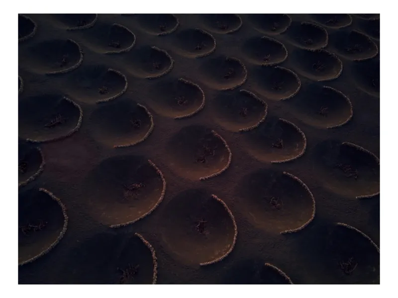Tablou Canvas, "Dune deșertice în lumina apusului", Cercuri, Repetitive, Textură, Abstract, Umbrire, Model, Misterios, Artistic, Captivant, Închidere, Forme, Iregularități, Vizualizare, Suprarealist, Patrate., 100 x 100 cm
