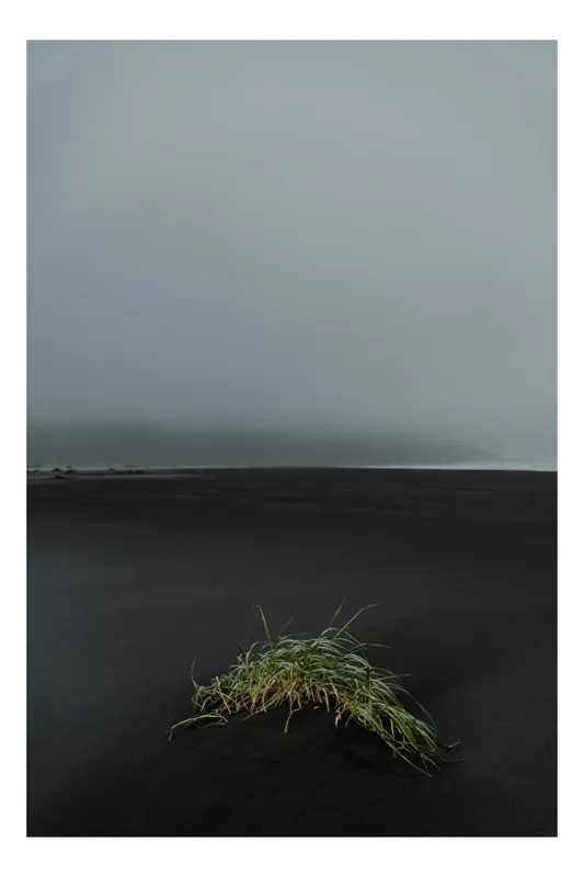 Tablou Canvas, "Singurătatea unui fir de iarbă", Melancolie, Solitudine, Vastitate, Ceață, Calm, Frig, Minimalism, Izolare, Natură, Peisaj., 70 x 100 cm