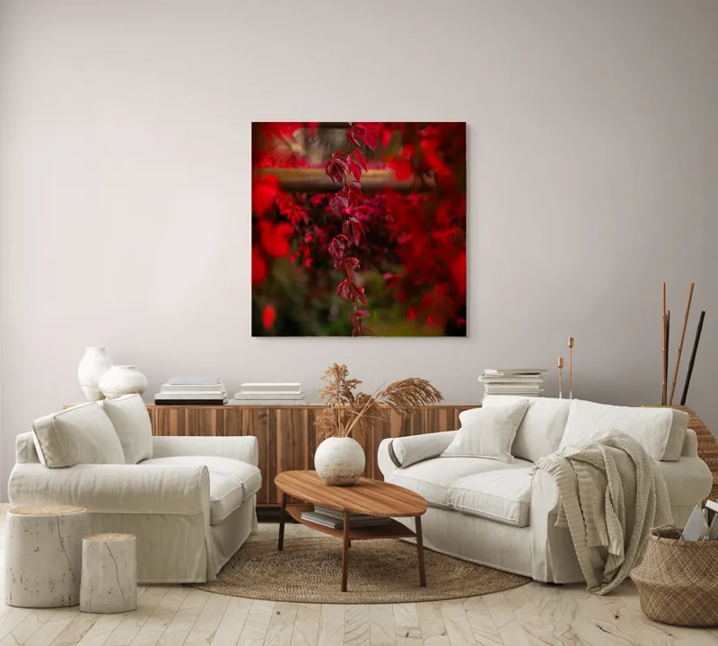 Tablou Canvas, "Cascada viselor roșii de toamnă", Frunze, Roșii, Toamnă, Natură, Frumusețe, Lumină, Blândețe, Calm, Verdeață, Contrast, 100 x 100 cm – poza 3