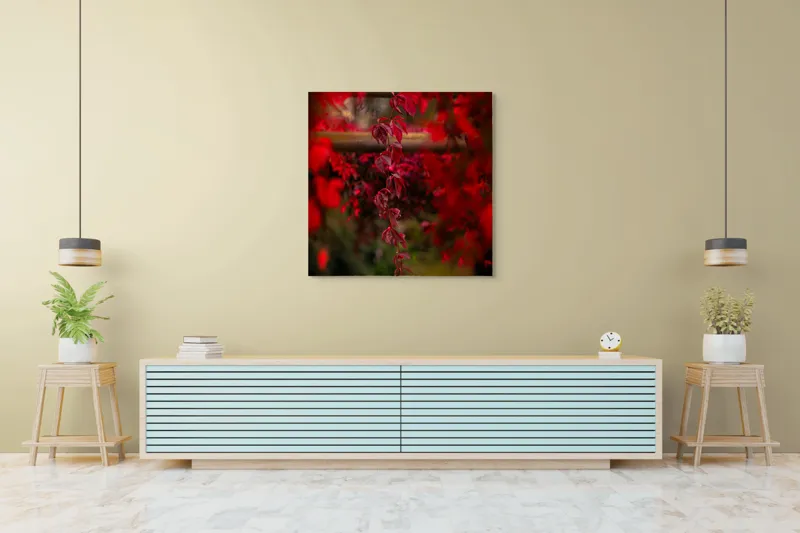 Tablou Canvas, "Cascada viselor roșii de toamnă", Frunze, Roșii, Toamnă, Natură, Frumusețe, Lumină, Blândețe, Calm, Verdeață, Contrast, 100 x 100 cm – poza 5