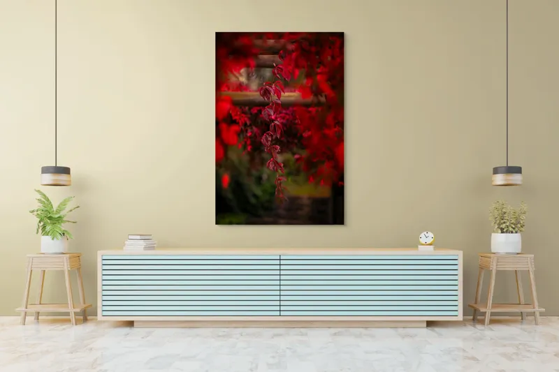 Tablou Canvas, "Cascada viselor roșii de toamnă", Frunze, Roșii, Toamnă, Natură, Frumusețe, Lumină, Blândețe, Calm, Verdeață, Contrast, 100 x 150 cm – poza 4