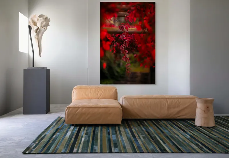 Tablou Canvas, "Cascada viselor roșii de toamnă", Frunze, Roșii, Toamnă, Natură, Frumusețe, Lumină, Blândețe, Calm, Verdeață, Contrast, 100 x 150 cm – poza 7
