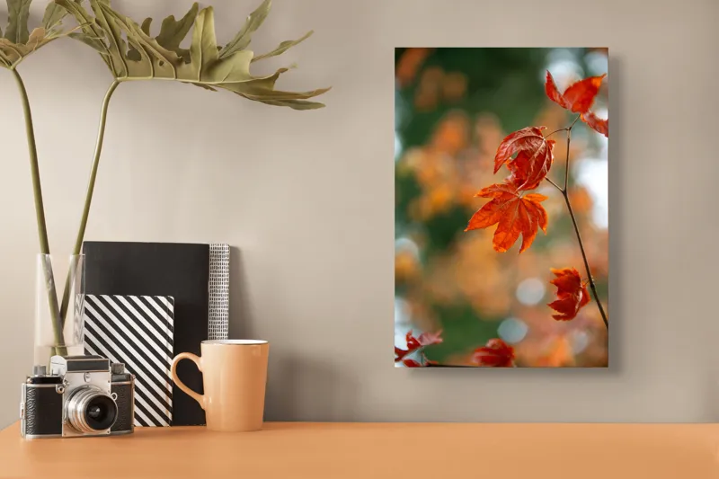 Tablou Canvas, "Frumusețea frunzelor de arțar toamna", Frunziș, Roșu, Toamnă, Natură, Contrast, Lumină, Delicat, Ramură, Bokeh, 26 x 39 cm – poza 3