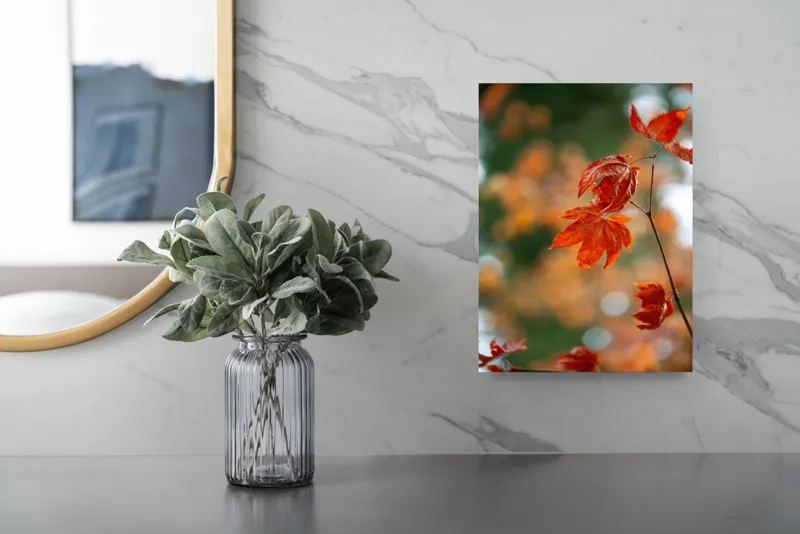 Tablou Canvas, "Frumusețea frunzelor de arțar toamna", Frunziș, Roșu, Toamnă, Natură, Contrast, Lumină, Delicat, Ramură, Bokeh, 26 x 39 cm – poza 4