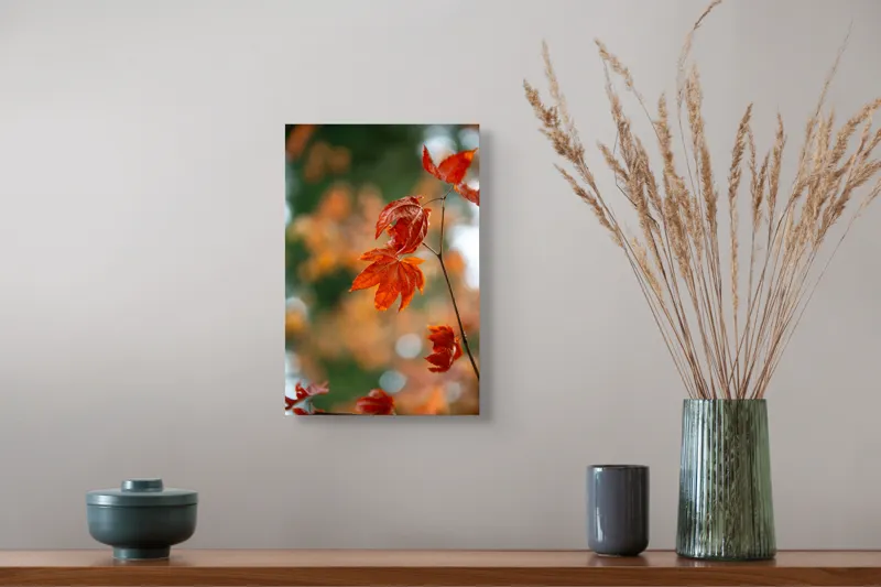 Tablou Canvas, "Frumusețea frunzelor de arțar toamna", Frunziș, Roșu, Toamnă, Natură, Contrast, Lumină, Delicat, Ramură, Bokeh, 26 x 39 cm – poza 5