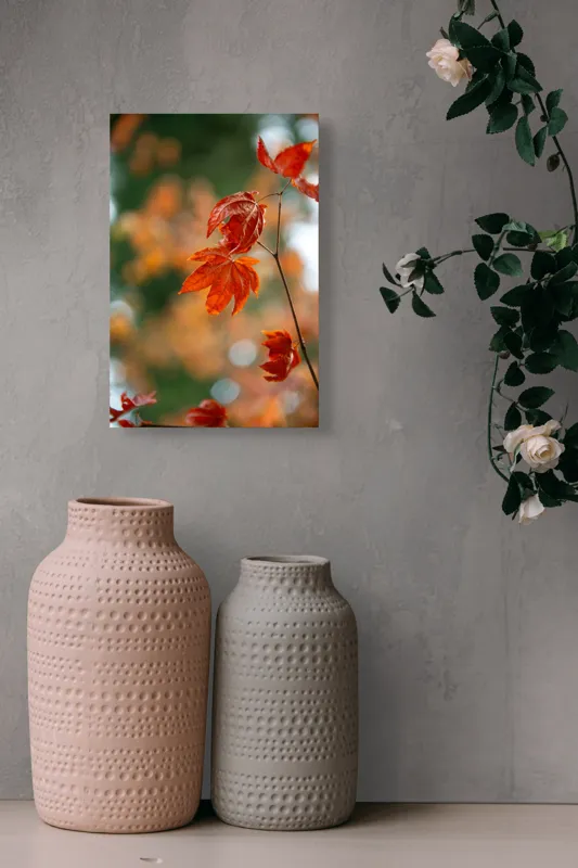 Tablou Canvas, "Frumusețea frunzelor de arțar toamna", Frunziș, Roșu, Toamnă, Natură, Contrast, Lumină, Delicat, Ramură, Bokeh, 26 x 39 cm – poza 6