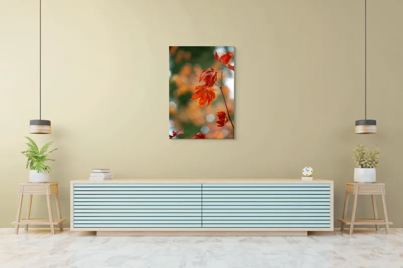 Tablou Canvas, "Frumusețea frunzelor de arțar toamna", Frunziș, Roșu, Toamnă, Natură, Contrast, Lumină, Delicat, Ramură, Bokeh, 70 x 100 cm – poza 5