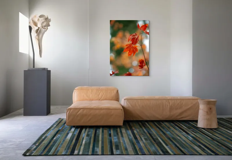 Tablou Canvas, "Frumusețea frunzelor de arțar toamna", Frunziș, Roșu, Toamnă, Natură, Contrast, Lumină, Delicat, Ramură, Bokeh, 70 x 100 cm – poza 7