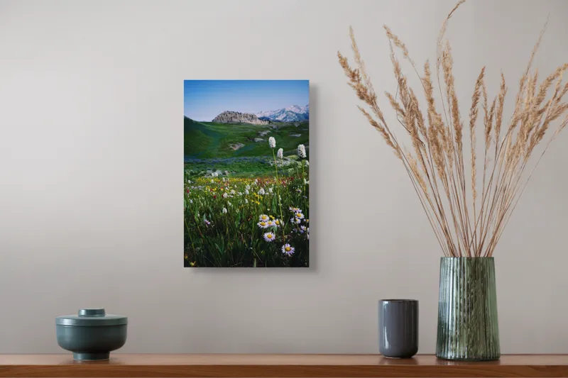 Tablou Canvas, "Poienița înflorită la poalele muntelui", Flori, Munte, Cer, Verdeață, Natură, Peisaj, Vară, Frumusețe, Serenitate, Culori, Întindere, Sălbăticie, Tranquilitate, Vitalitate, 26 x 39 cm – poza 5