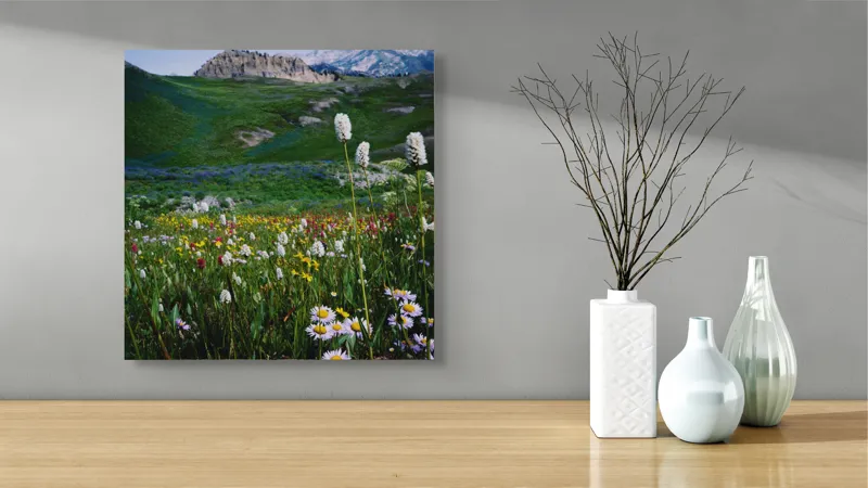 Tablou Canvas, "Poienița înflorită la poalele muntelui", Flori, Munte, Cer, Verdeață, Natură, Peisaj, Vară, Frumusețe, Serenitate, Culori, Întindere, Sălbăticie, Tranquilitate, Vitalitate, 50 x 50 cm – poza 3