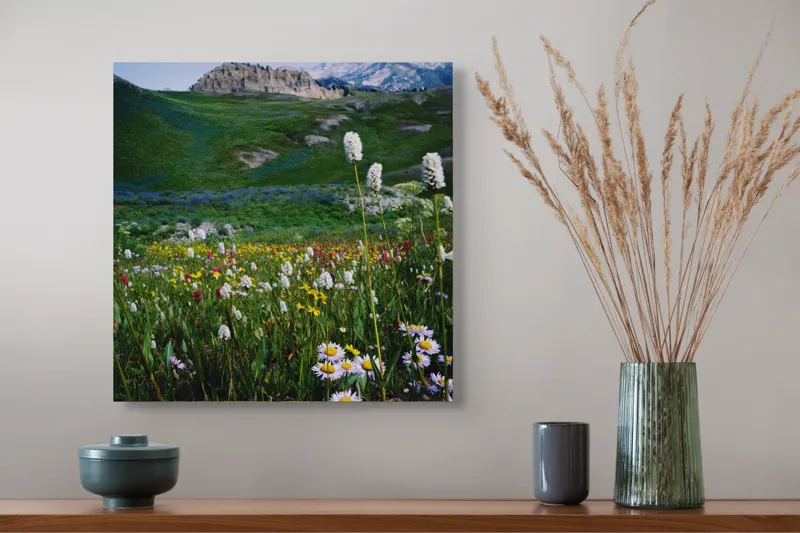 Tablou Canvas, "Poienița înflorită la poalele muntelui", Flori, Munte, Cer, Verdeață, Natură, Peisaj, Vară, Frumusețe, Serenitate, Culori, Întindere, Sălbăticie, Tranquilitate, Vitalitate, 50 x 50 cm – poza 4