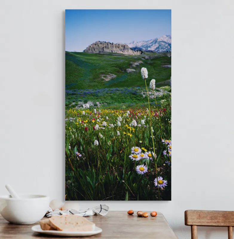 Tablou Canvas, "Poienița înflorită la poalele muntelui", Flori, Munte, Cer, Verdeață, Natură, Peisaj, Vară, Frumusețe, Serenitate, Culori, Întindere, Sălbăticie, Tranquilitate, Vitalitate, 50 x 90 cm – poza 3
