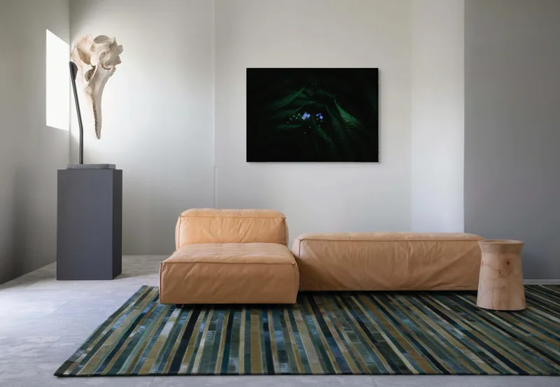 Tablou Canvas, "Florile albastre în întunericul pădurii", Frunze, Întuneric, Flori, Albastru, Mister, Natură, 100 x 70 cm – poza 7