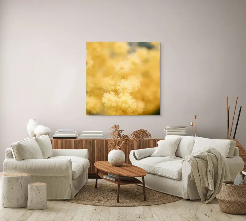Tablou Canvas, "Mângâierea florilor de mimoză aurie", Flori, Galbene, Puf, Delicate, Moale, Blânde, Naturele, Inundante, Strălucitoare, Calme, 100 x 100 cm – poza 3