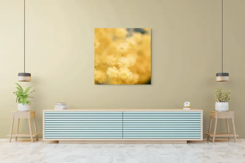 Tablou Canvas, "Mângâierea florilor de mimoză aurie", Flori, Galbene, Puf, Delicate, Moale, Blânde, Naturele, Inundante, Strălucitoare, Calme, 100 x 100 cm – poza 5