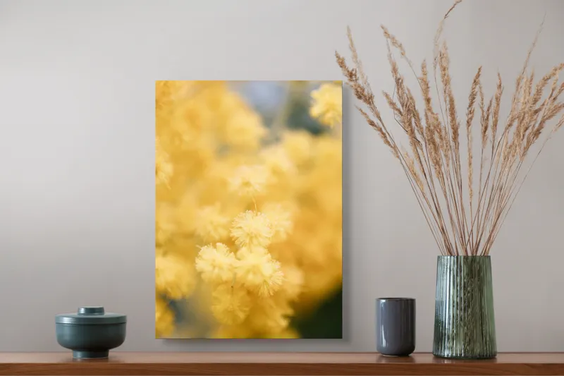 Tablou Canvas, "Mângâierea florilor de mimoză aurie", Flori, Galbene, Puf, Delicate, Moale, Blânde, Naturele, Inundante, Strălucitoare, Calme, 39 x 54 cm – poza 3