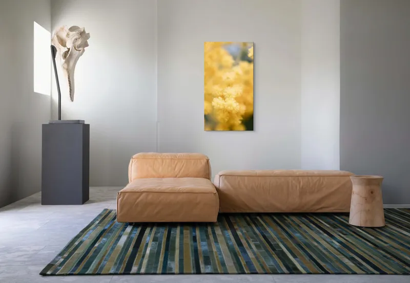 Tablou Canvas, "Mângâierea florilor de mimoză aurie", Flori, Galbene, Puf, Delicate, Moale, Blânde, Naturele, Inundante, Strălucitoare, Calme, 50 x 90 cm – poza 5