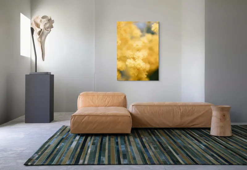 Tablou Canvas, "Mângâierea florilor de mimoză aurie", Flori, Galbene, Puf, Delicate, Moale, Blânde, Naturele, Inundante, Strălucitoare, Calme, 70 x 100 cm – poza 7