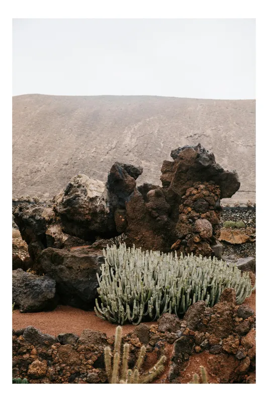Tablou Canvas, "Roci vulcanice și cactuși pustii", Roci, Cactus, Deșert, Coline, Vegetație, Arid, Peisaj, 100 x 100 cm