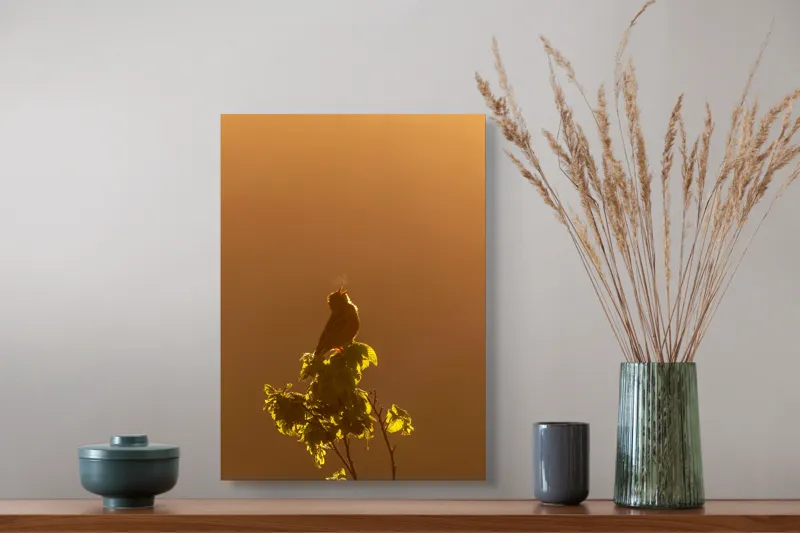 Tablou Canvas, "Cântec în lumina dimineții aurii", Pasăre, Crenguță, Răsărit, Frunze, Siluetă, Cântec, Lumină, Încântare, 39 x 54 cm – poza 3