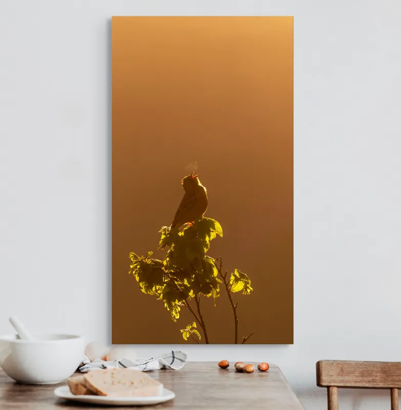 Tablou Canvas, "Cântec în lumina dimineții aurii", Pasăre, Crenguță, Răsărit, Frunze, Siluetă, Cântec, Lumină, Încântare, 50 x 90 cm – poza 3