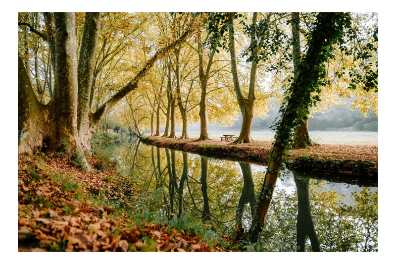 Tablou Canvas, "Toamna de-a lungul râului liniştit", Copaci, Reflecții, Toamnă, Apă, Frunze, Natură, Tranquilitate, Peisaj, Râu, Pădure, 90 x 50 cm