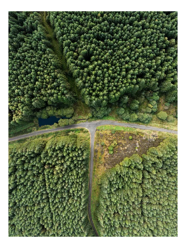 Tablou Canvas, "Drum îndepărtat prin pădurea verde", Copaci, Drum, Verdeață, Peisaj, Aerian, Pădure, Natură, Împădurire, Linie, Vegetație, 100 x 150 cm