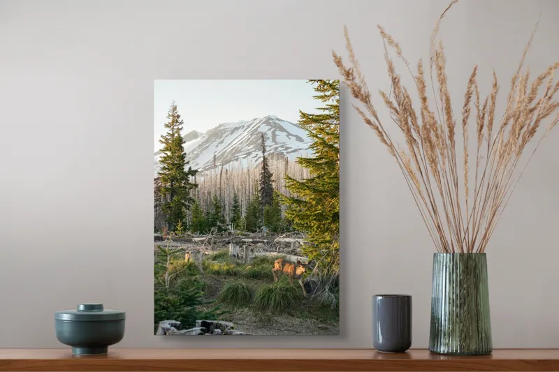 Tablou Canvas, "Cerb în pădurea montană matinală", Crepuscul, Munte, Cerb, Arbori, Zăpadă, Trunchiuri, Vegetație, Peisaj, Natură, Împădurit, 39 x 54 cm – poza 3