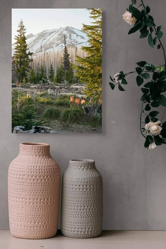 Tablou Canvas, "Cerb în pădurea montană matinală", Crepuscul, Munte, Cerb, Arbori, Zăpadă, Trunchiuri, Vegetație, Peisaj, Natură, Împădurit, 39 x 54 cm – poza 6