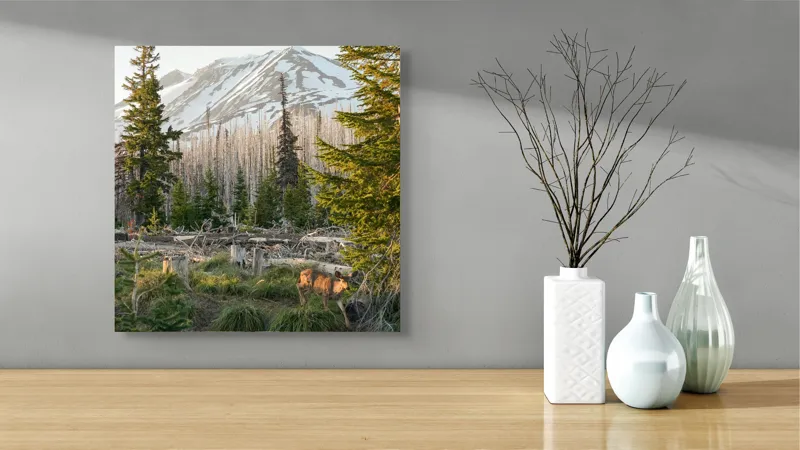 Tablou Canvas, "Cerb în pădurea montană matinală", Crepuscul, Munte, Cerb, Arbori, Zăpadă, Trunchiuri, Vegetație, Peisaj, Natură, Împădurit, 50 x 50 cm – poza 3