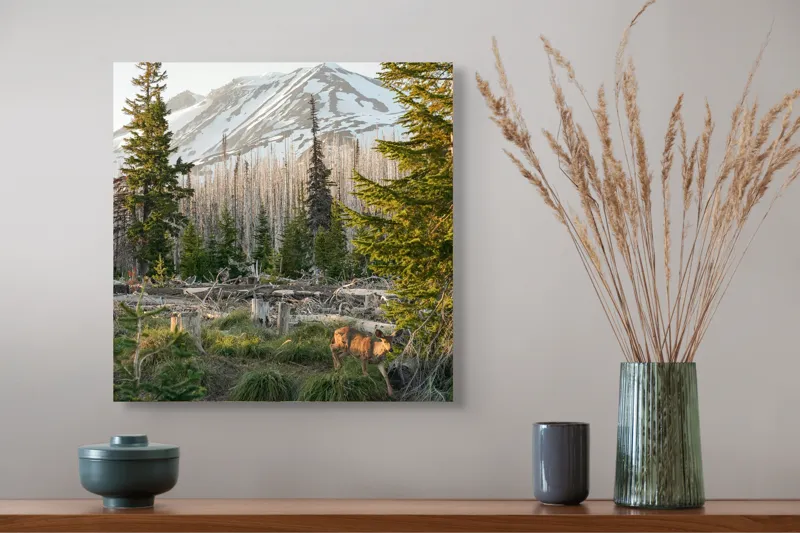 Tablou Canvas, "Cerb în pădurea montană matinală", Crepuscul, Munte, Cerb, Arbori, Zăpadă, Trunchiuri, Vegetație, Peisaj, Natură, Împădurit, 50 x 50 cm – poza 4
