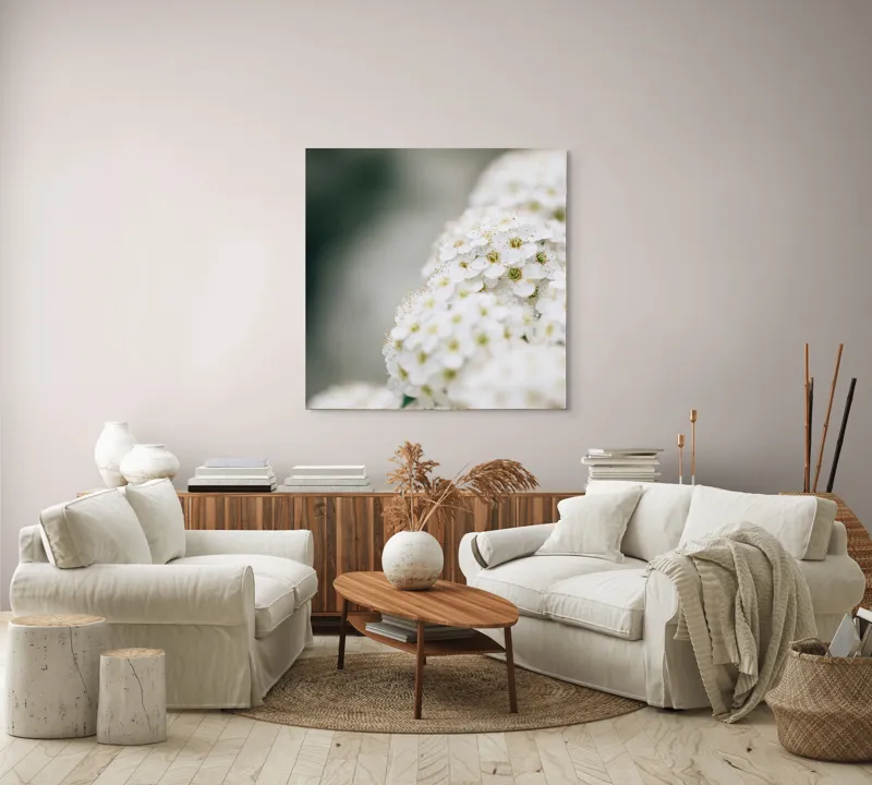 Tablou Canvas, "Splendoarea florilor albe de primăvară", Flori, Albe, Delicate, Naturale, Pure, Fragede, Minunate, Aromate, 100 x 100 cm – poza 3