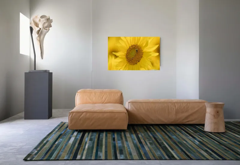 Tablou Canvas Galben Floare Soare Natură Frumusețe Vară, 90 x 50 cm – poza 8