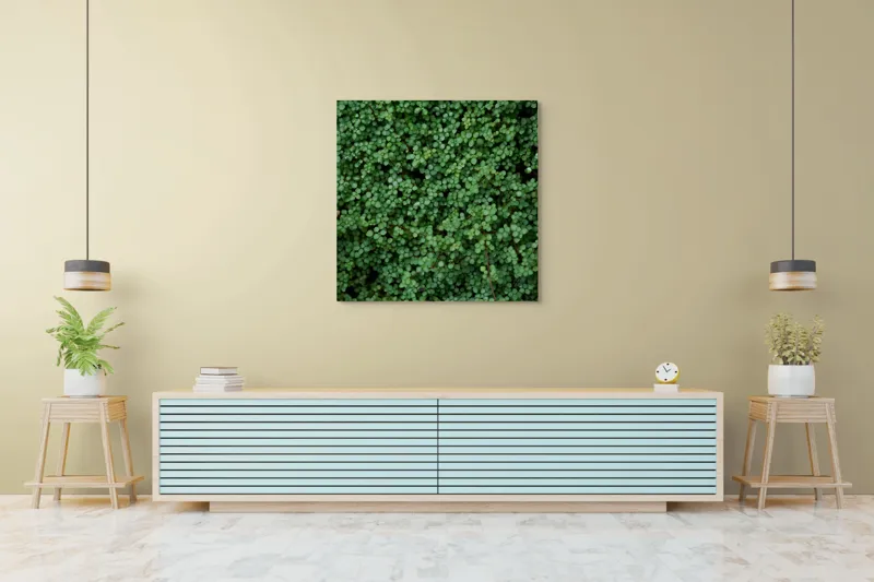 Tablou Canvas, "Covor verde de frunze mici", Verde, Abundență, Frunziș, Natură, Prospețime, 100 x 100 cm – poza 5