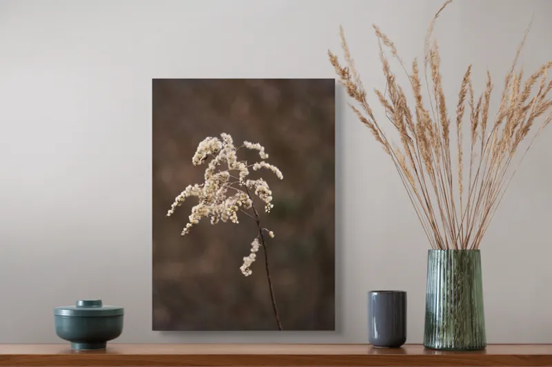 Tablou Canvas, "Dansul delicat al toamnei târzii", Floare, Delicată, Natură, Textură, Toamnă, Subtilitate, Solitudine, Fragilitate, 39 x 54 cm – poza 3