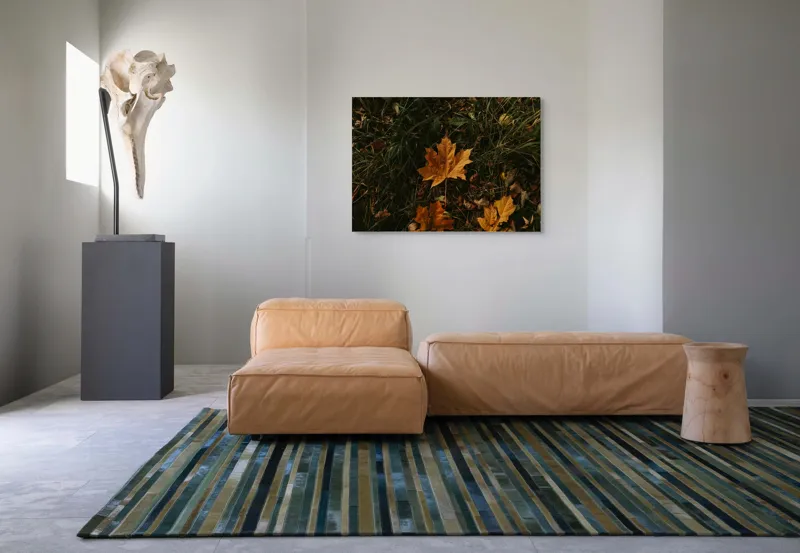 Tablou Canvas, "Frunza ruginie în iarba toamnei", Frunze, Toamnă, Pământ, Culoare, Vegetație, 100 x 70 cm – poza 7