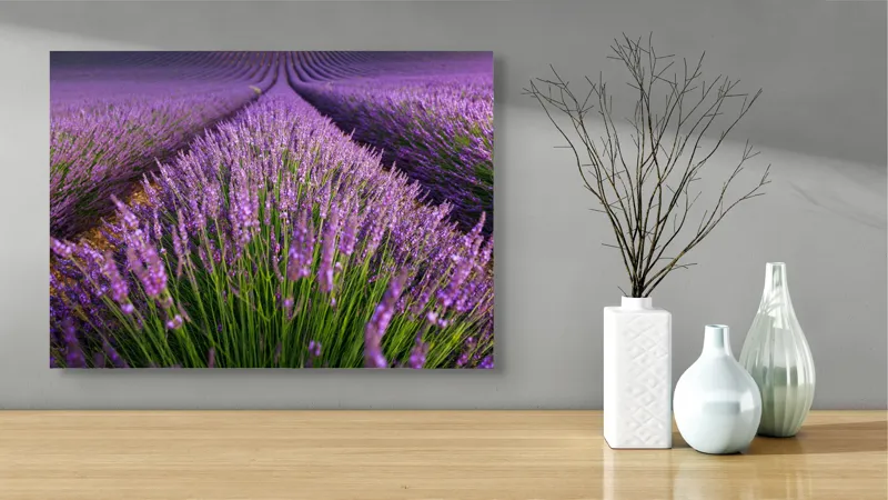 Tablou Canvas, "Lanuri nesfârșite de lavandă în floare", Lavandă, Violet, Câmp, Natural, Aromatic, Frumusețe, Peisaj, Infinit, Calm, Relaxare, 70 x 50 cm – poza 3