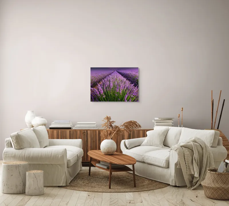 Tablou Canvas, "Lanuri nesfârșite de lavandă în floare", Lavandă, Violet, Câmp, Natural, Aromatic, Frumusețe, Peisaj, Infinit, Calm, Relaxare, 70 x 50 cm – poza 6