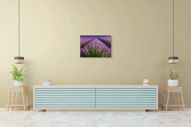 Tablou Canvas, "Lanuri nesfârșite de lavandă în floare", Lavandă, Violet, Câmp, Natural, Aromatic, Frumusețe, Peisaj, Infinit, Calm, Relaxare, 70 x 50 cm – poza 7