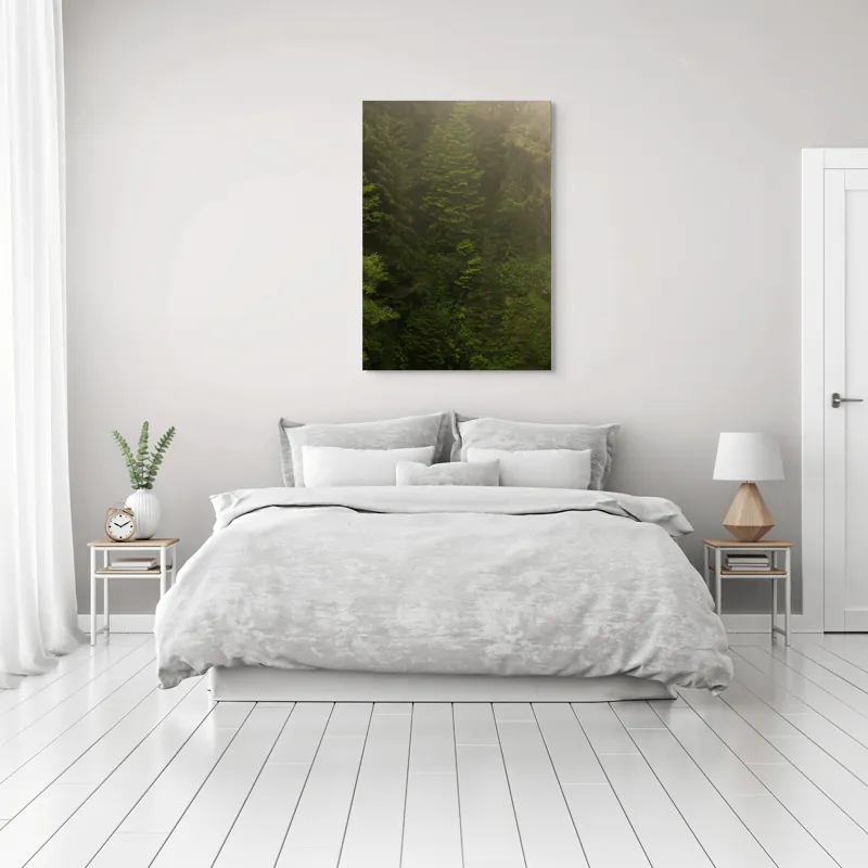 Tablou Canvas, "Pădurea ascunsă în ceață verde.", Copaci, Cețoși, Înverziți, Frunziș, Pădure, Natural, Misterios, Înalt, Liniște, Vegetație, 70 x 100 cm – poza 3