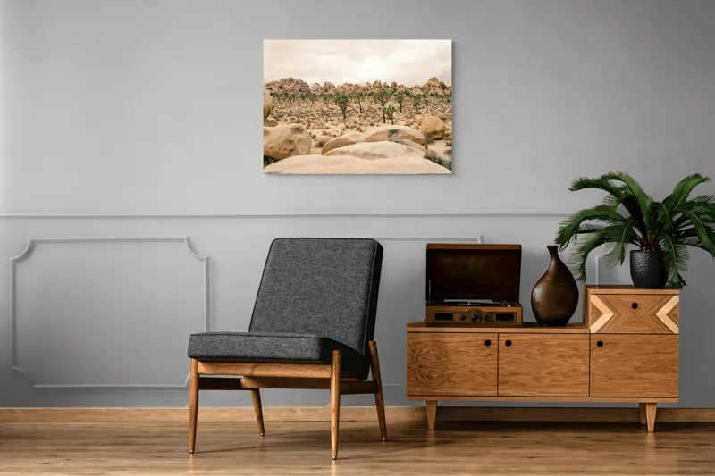 Tablou Canvas, "Vântul printre arborii deșertici", Deșert, Pietre, Cactuși, Cer, Întins, Arid, Natură, Solitar, Sălbatic, Calm, 100 x 70 cm – poza 8