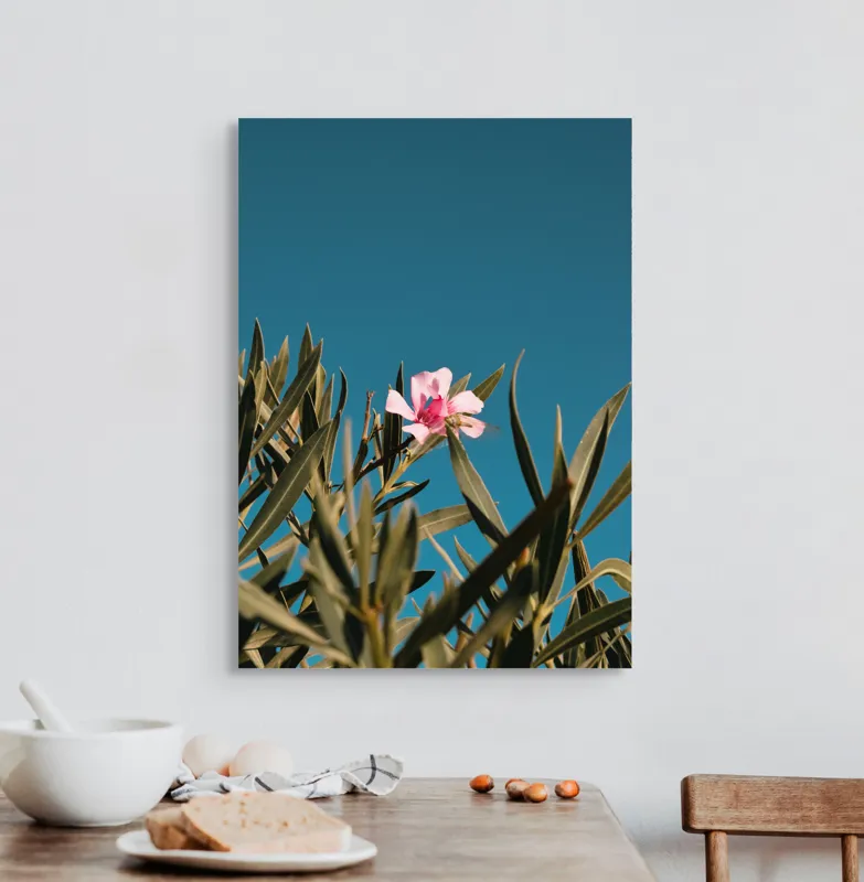 Tablou Canvas, "Floare roz în bătaia soarelui", Floare, Roz, Frunze, Verde, Cer, Albastru, Ușor, Luminos, Natură, Contrast., 50 x 70 cm – poza 3