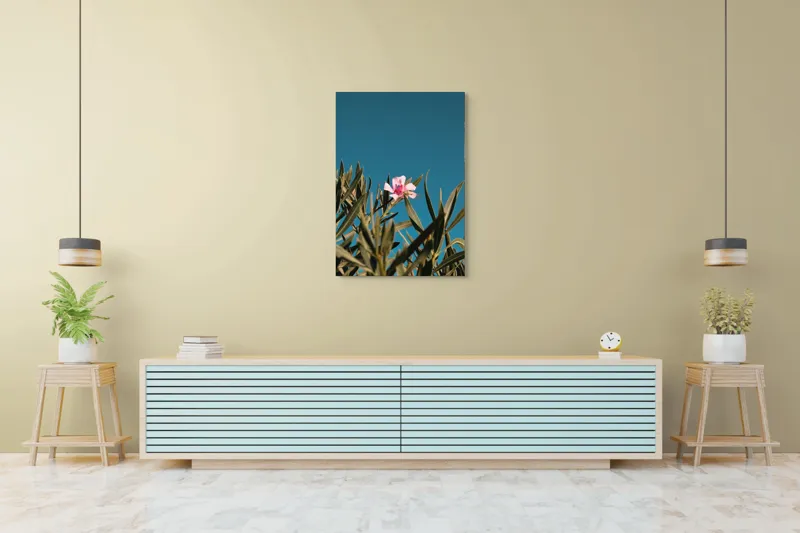 Tablou Canvas, "Floare roz în bătaia soarelui", Floare, Roz, Frunze, Verde, Cer, Albastru, Ușor, Luminos, Natură, Contrast., 70 x 100 cm – poza 5
