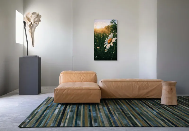 Tablou Canvas, "Strălucirea dimineții pe câmp de margarete", Floare, Apus, Roua, Câmp, Natură, Lumină, Frumusețe, 50 x 90 cm – poza 5