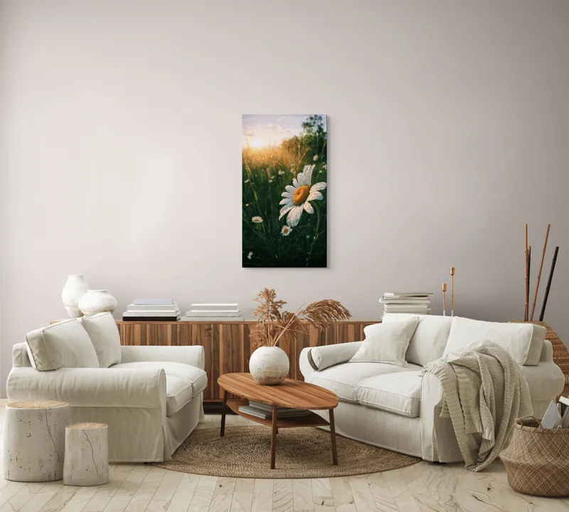 Tablou Canvas, "Strălucirea dimineții pe câmp de margarete", Floare, Apus, Roua, Câmp, Natură, Lumină, Frumusețe, 50 x 90 cm – poza 7