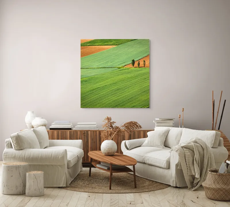 Tablou Canvas, "Campuri verzi cu arbori in linie", Câmpie, Verde, Pom, Lanuri, Natură, Linii, Peisaj, Simetrie, 100 x 100 cm – poza 3