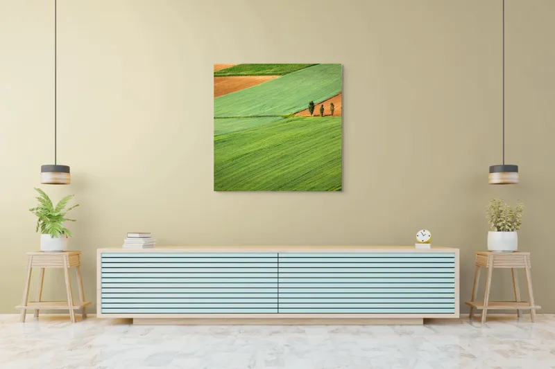 Tablou Canvas, "Campuri verzi cu arbori in linie", Câmpie, Verde, Pom, Lanuri, Natură, Linii, Peisaj, Simetrie, 100 x 100 cm – poza 5
