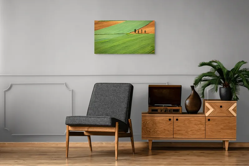 Tablou Canvas, "Campuri verzi cu arbori in linie", Câmpie, Verde, Pom, Lanuri, Natură, Linii, Peisaj, Simetrie, 90 x 50 cm – poza 6